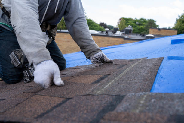 Best Storm Damage Roof Repair  in Wakarusa, IN