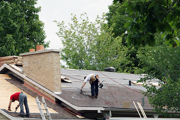 Best Roof Gutter Cleaning  in Wakarusa, IN